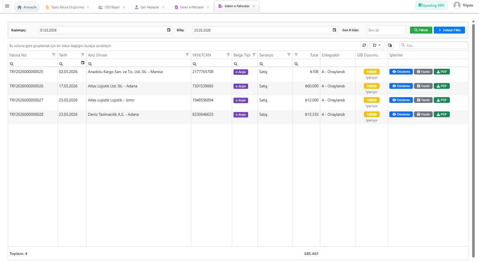 e-Dönüşüm giden e-Faturalar ekranı - e-Fatura görüntüleme, e-Arşiv ve e-İrsaliye süreç yönetimi
