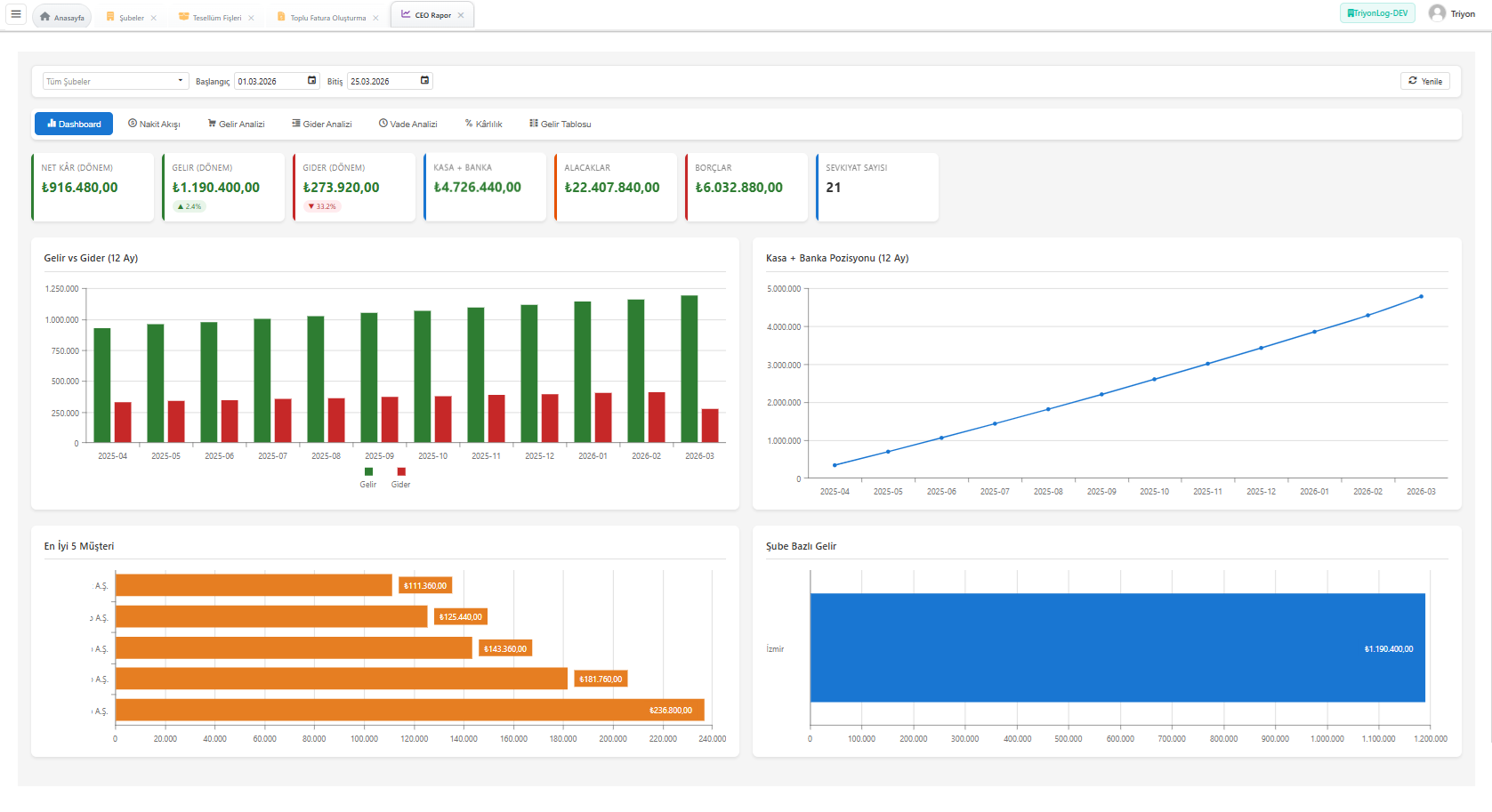 e-Dönüşüm finansal raporlama ekranı - e-Fatura, e-Arşiv ve e-İrsaliye verileriyle detaylı analiz