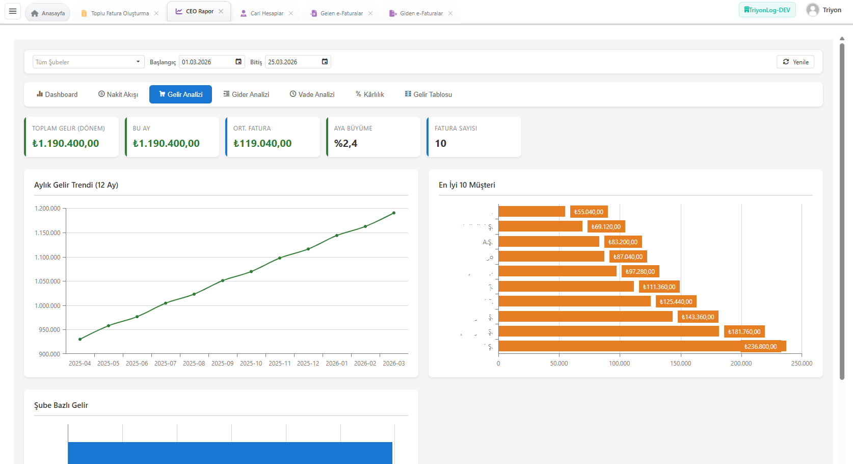 e-Dönüşüm detaylı şirket P&L raporlama ekranı - gelir gider analizi, karlılık ve performans raporları